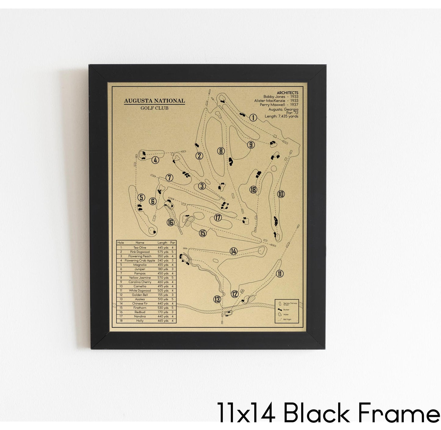 Augusta Outline (Print)