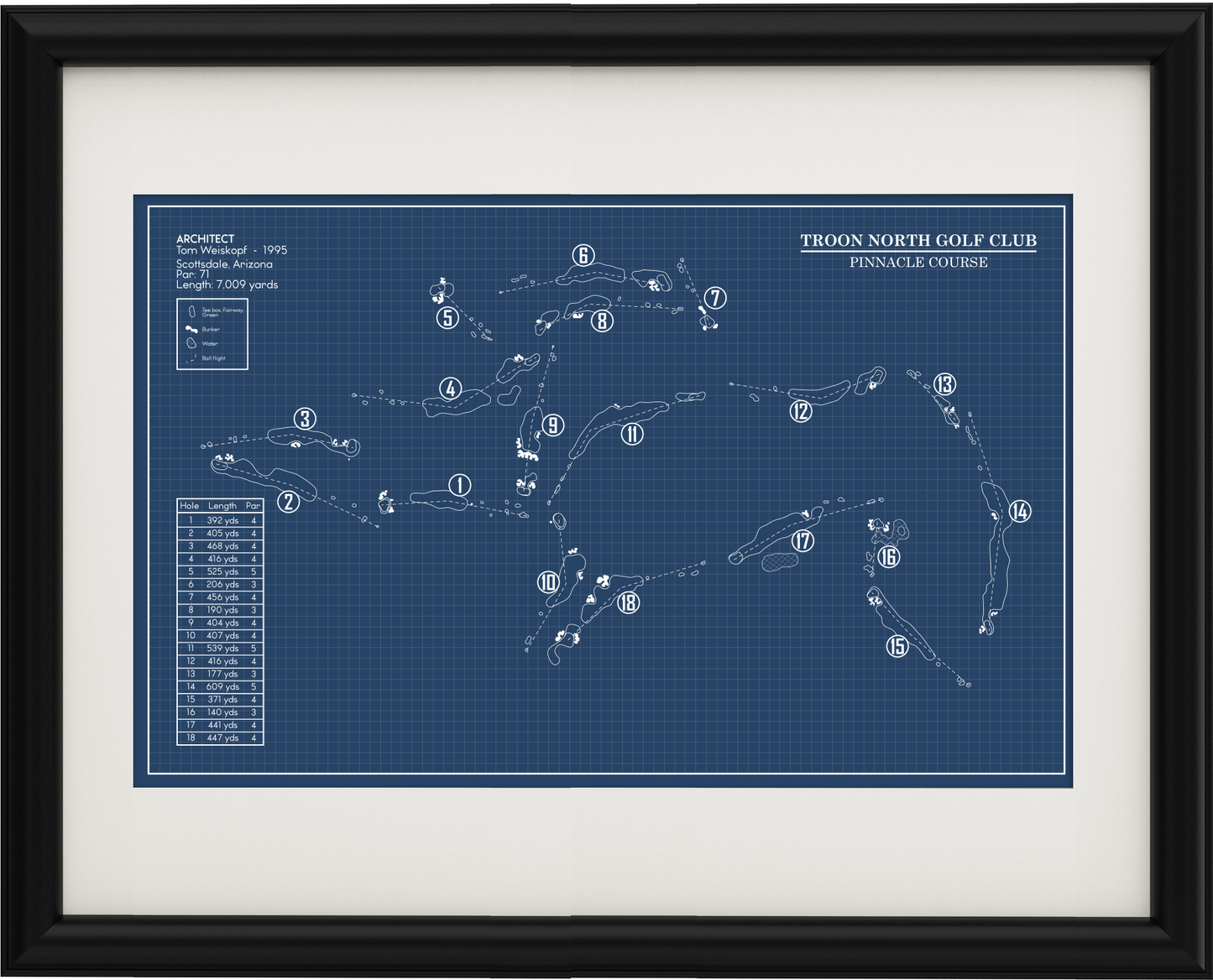 Pinnacle at Troon North Blueprint (Print)