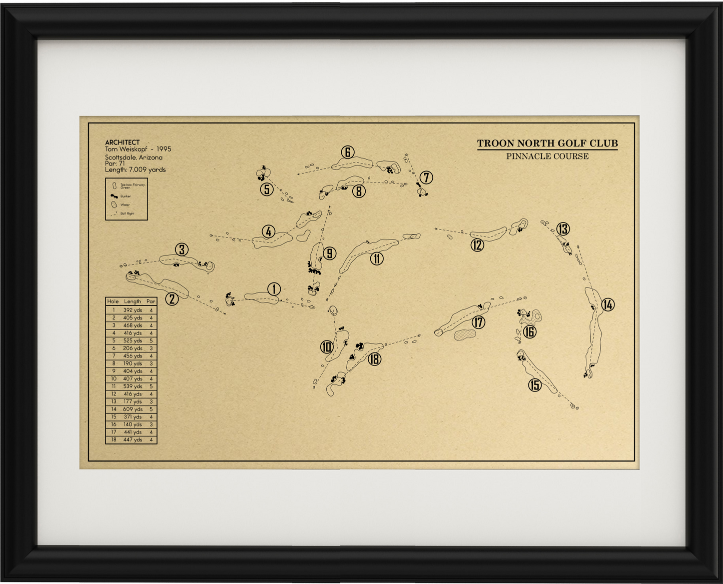 Pinnacle at Troon North Outline (Print)