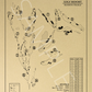 Bandon Trails Golf Course Outline (Print)