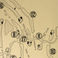 Brookhaven Country Club Master's Course Outline (Print)