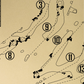 California Golf Club of San Francisco Outline (Print)