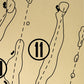 Diamond Creek Outline (Print)