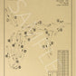 Glenwild Golf Club Outline (Print)