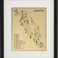 Hammock Beach Conservatory Course Outline (Print)