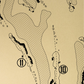Hammock Beach Conservatory Course Outline (Print)