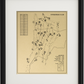 Inverness Club Outline (Print)