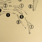Ironwood Golf Club Outline (Print)