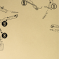 New Albany Country Club Outline (Print)