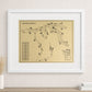 Oak Tree National Outline (Print)