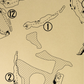 Hammock Beach Ocean Course Outline (Print)
