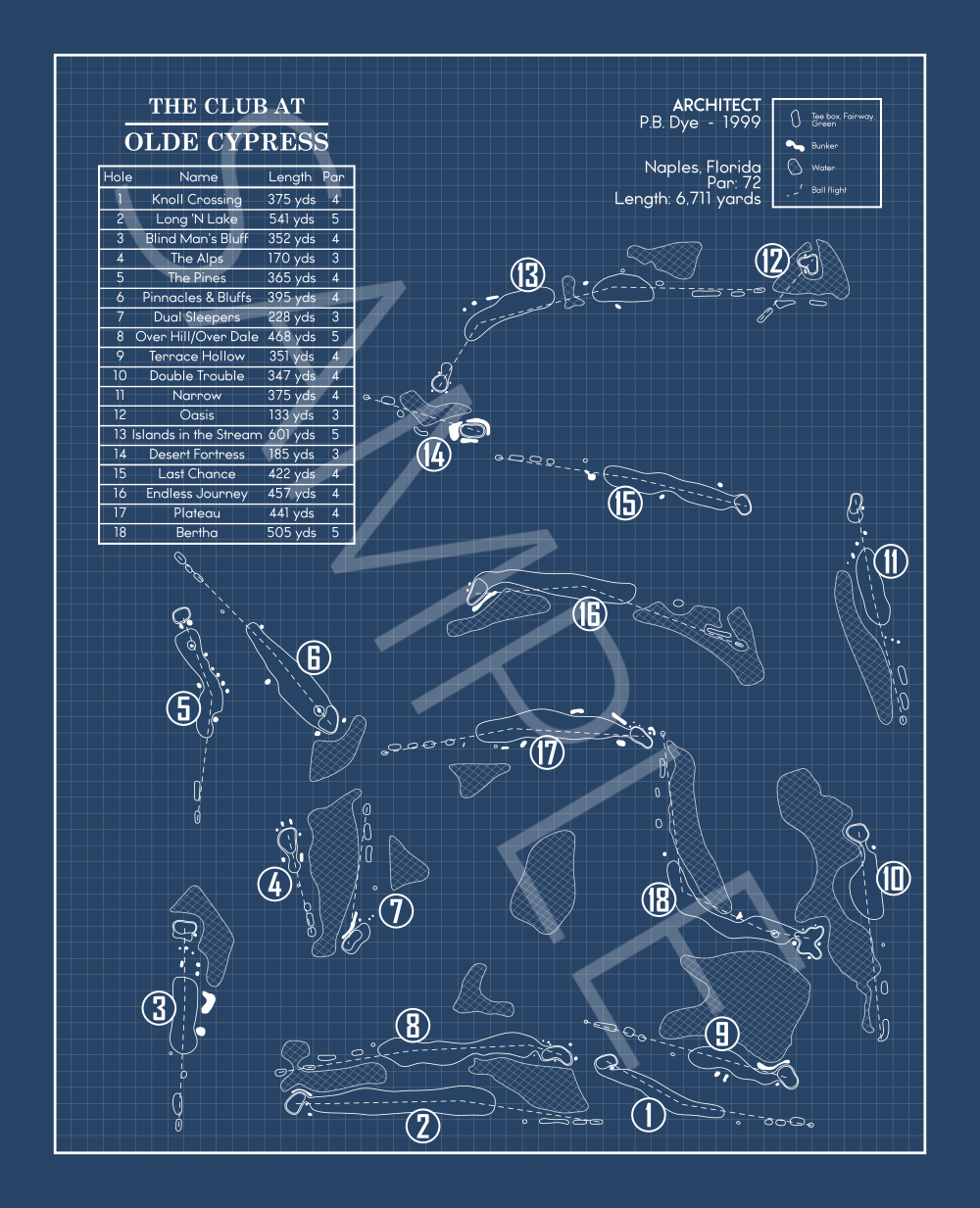 The Club at Olde Cypress Blueprint (Print)