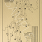 Olympia Fields Country Club South Course Outline (Print)