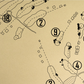 Philadelphia Cricket Club Militia Hill Course Outline (Print)