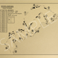 Punta Espada Golf Course Outline (Print)