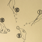 Reynolds Lake Oconee The Creek Club Outline (Print)