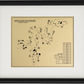 Sand Valley Golf Resort, Sedge Valley Course Outline (Print)