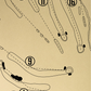 Shady Valley Country Club Outline (Print)