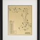 The Cliffs at Keowee Falls Outline (Print)