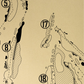 Colleton River Club Dye Course Outline (Print)