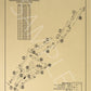 Bandon Dunes Old Macdonald Golf Course Outline (Print)