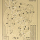 New Haven Country Club Outline (Print)