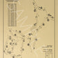 Prairie Dunes Country Club Outline (Print)