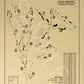 Barrington Hills Country Club Outline (Print)
