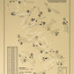 Suncadia Resort Rope Rider Course Outline (Print)