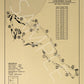 Monterey Peninsula Country Club Dunes Course Outline (Print)
