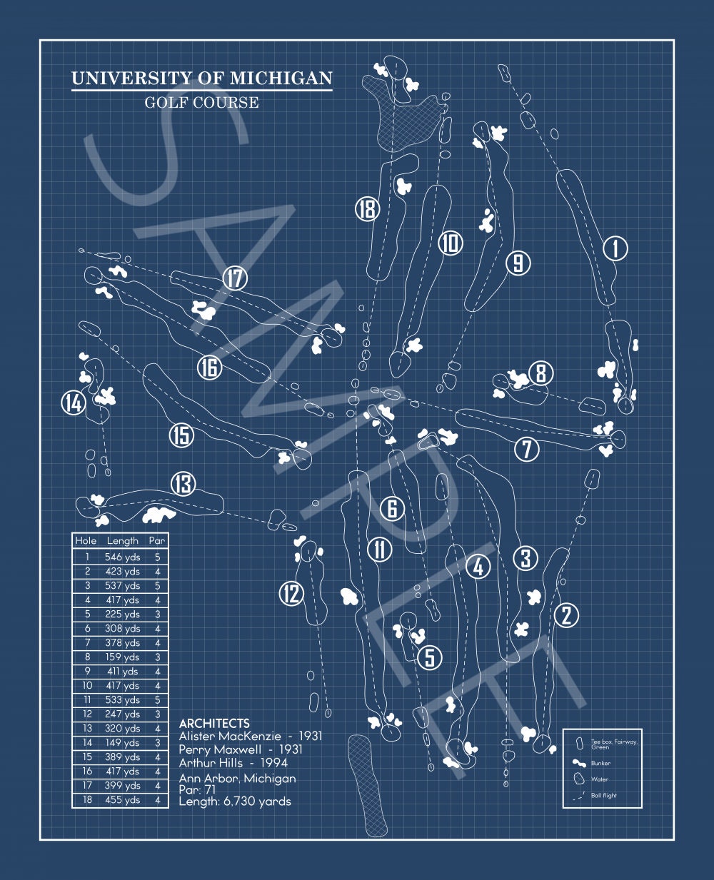 University of Michigan Golf Course Blueprint (Print)